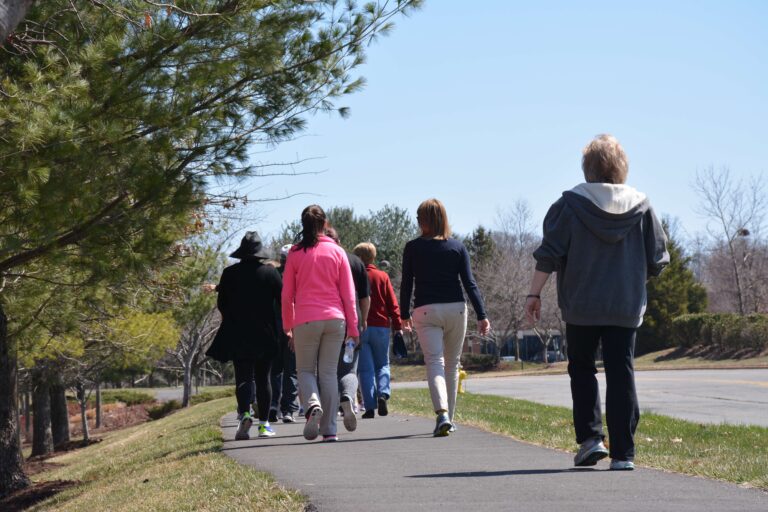 Walking Day with LSTC