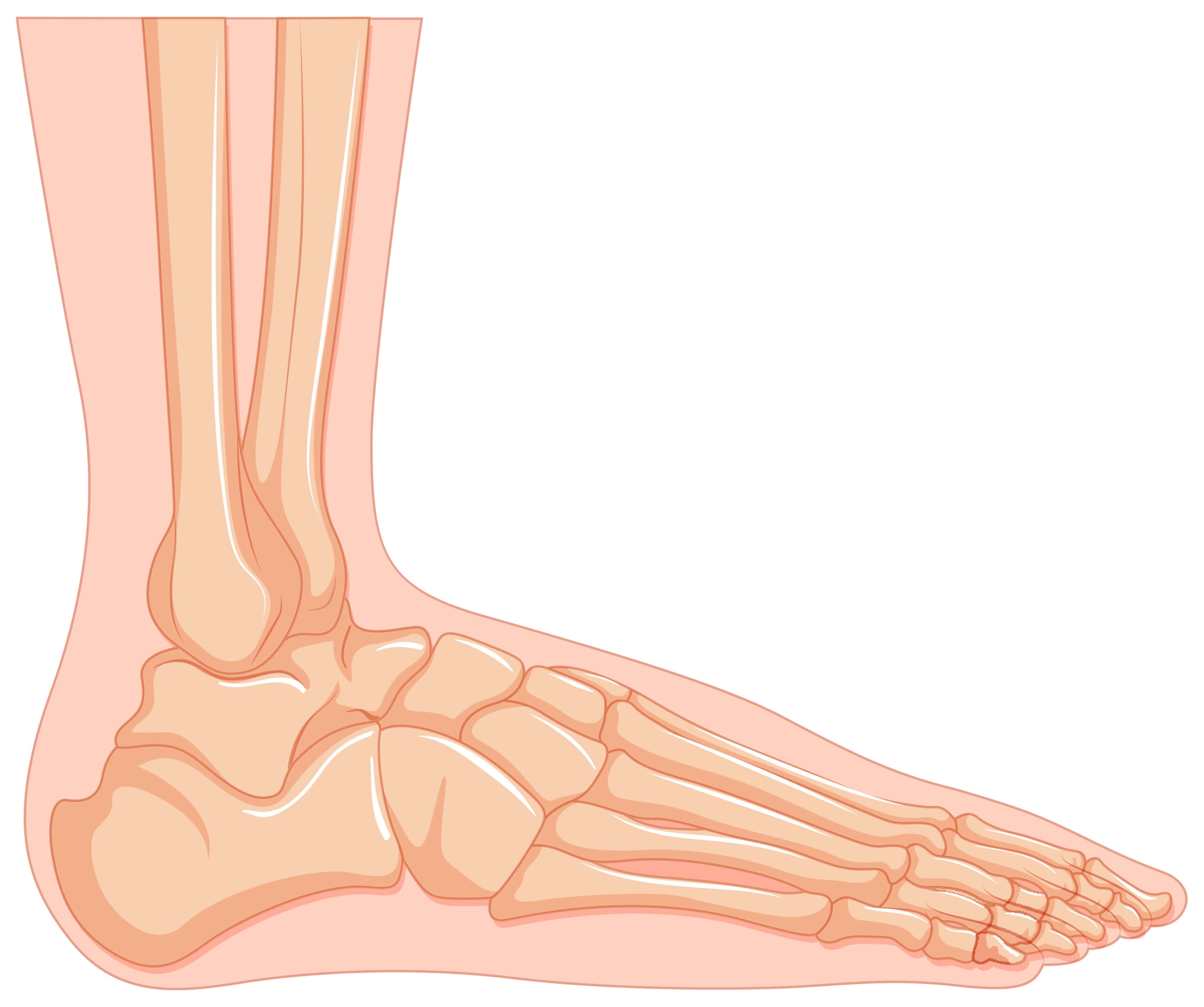 Foot and Ankle Pain Should not be Ignored
