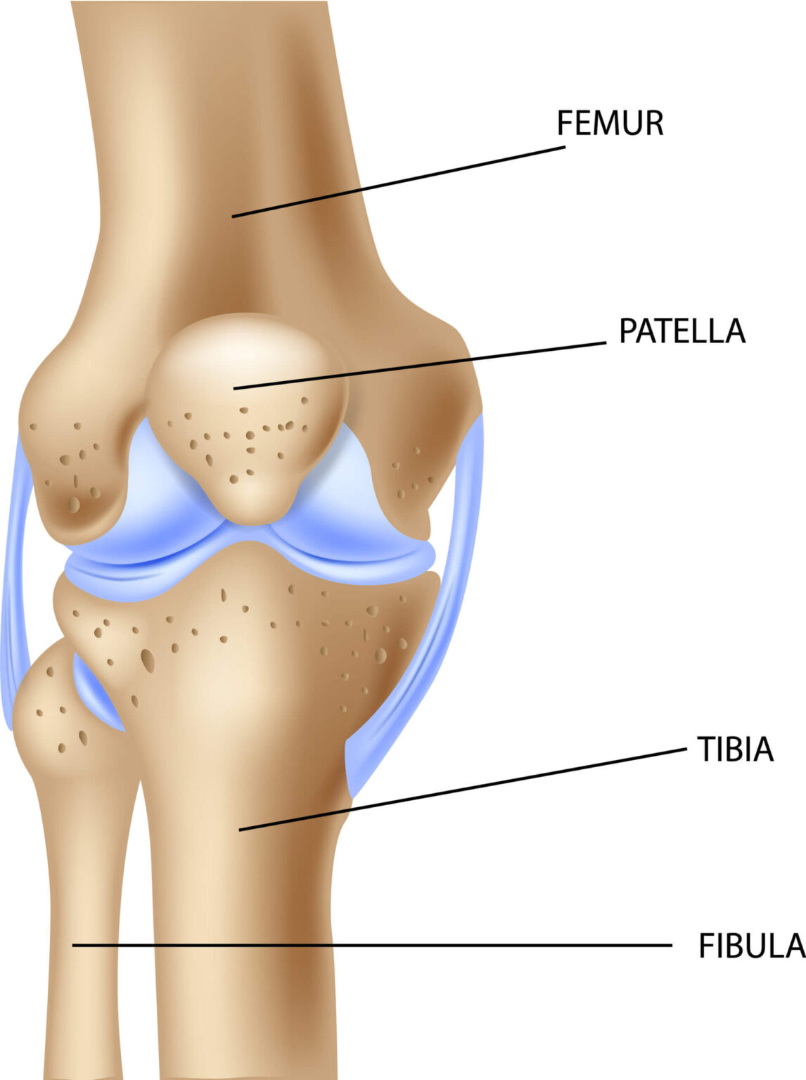 patellofemoral-pain-syndrome-physical-therapy-sterling-va