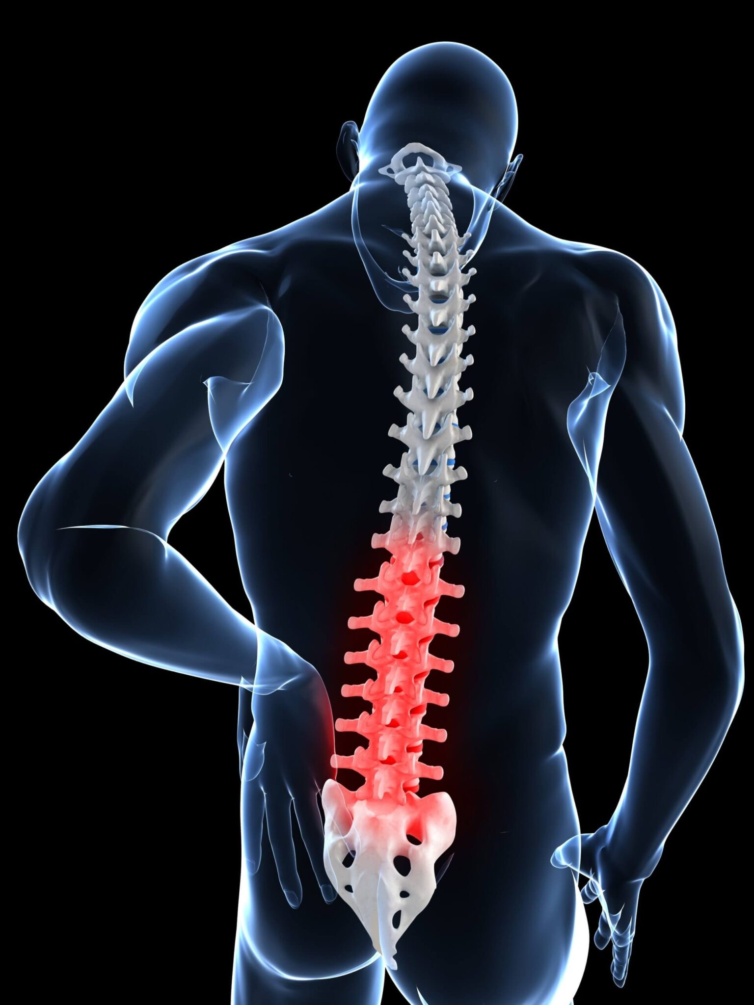 Discs: Reason for Back Issues - Physical Therapy, Ashburn, VA