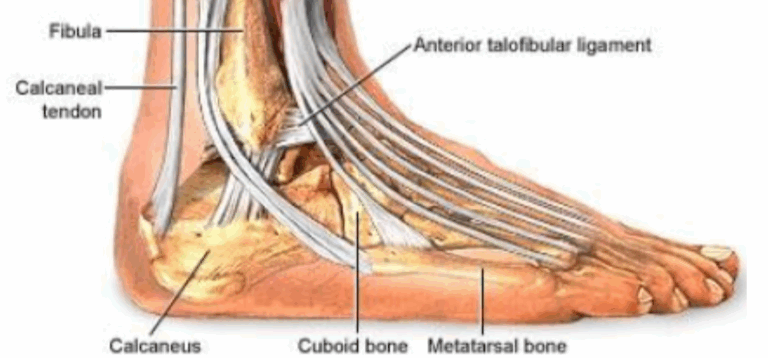 Treating the Pain in Your Feet